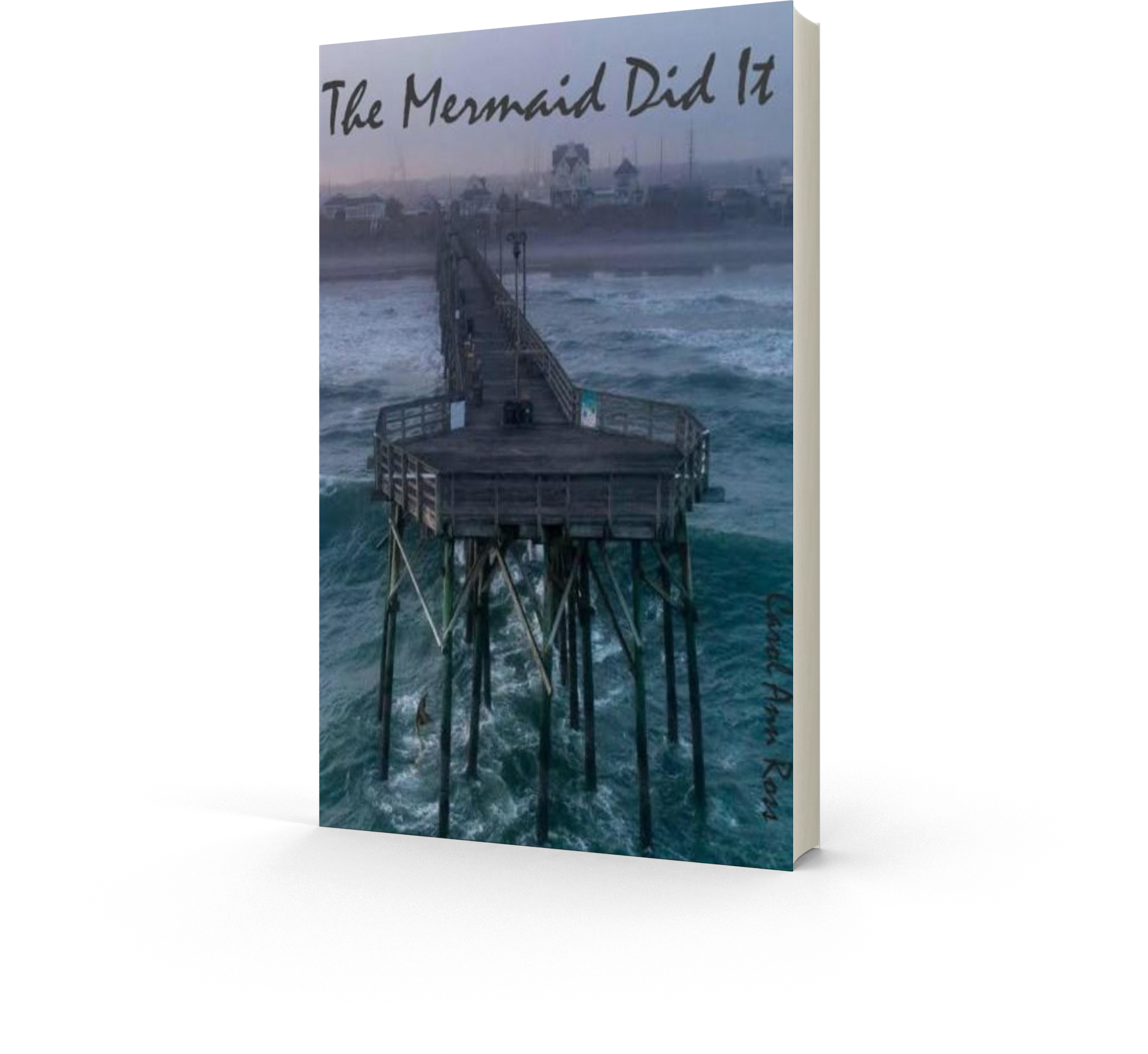 MermaidDidIt.MockIt